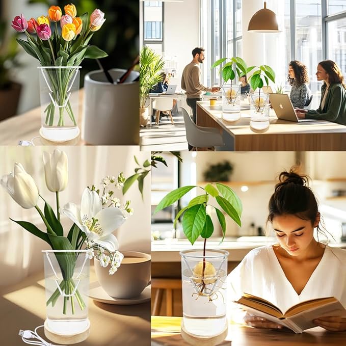 Avocado Vase, Avocado Seed Starter Vase with Wood Multicolor LED Light Base, Avocado Growing Kit with Plant Support, Acorn vase, propagation stations for Forcing Hyacinth (Stainless Steel Silver)