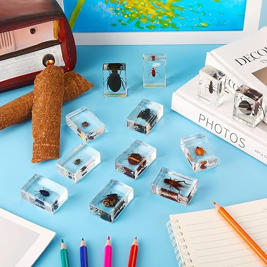 Macarrie 12 Pcs Bug Collection Kit for Kids Insect Specimens Real Specimens of Butterflies Beetles for Kids Classroom Science Education Animal Collection, Bug Preserved, Biology(Cricket)