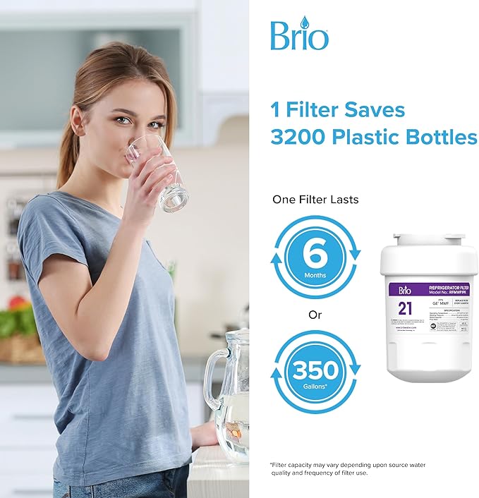 Brio Replacement Refrigerator Filters for GE, Sears, Kenmore models | Significantly reduces unpleasant Tastes, Odors, Chlorine, and VOCs from Fridge Water & Ice | NSF Certified - (Pack of 3)