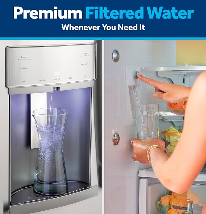 GE RPWFE Refrigerator Water Filter, Genuine Replacement Filter, Certified to Reduce Lead, Sulfur, and 50+ Other Impurities, Replace Every 6 Months for Best Results, Pack of 2