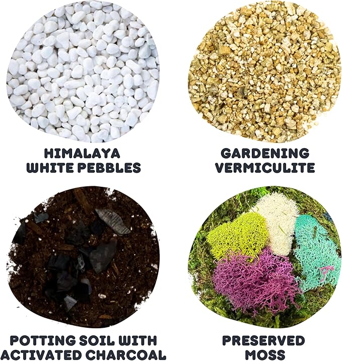 Cute Farms Terrarium Starter Kit | Moss, Vermiculite, Soil, Pebbles, Plant Food, & Finishing Tools (Large Kit + Live Plants + Crystals)