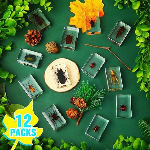 Macarrie 12 Pcs Bug Collection Kit for Kids Insect Specimens Real Specimens of Butterflies Beetles for Kids Classroom Science Education Animal Collection, Bug Preserved, Biology(Insect)
