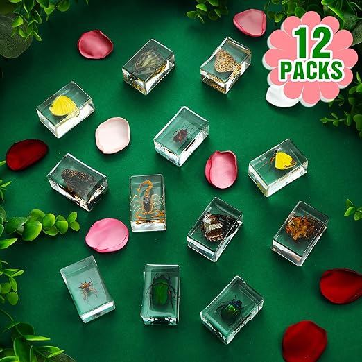 Macarrie 12 Pcs Bug Collection Kit for Kids Insect Specimens Real Specimens of Butterflies Beetles for Kids Classroom Science Education Animal Collection, Bug Preserved, Biology(Butterfly)
