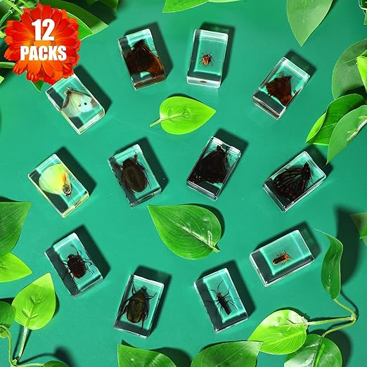 Macarrie 12 Pcs Bug Collection Kit for Kids Insect Specimens Real Specimens of Butterflies Beetles for Kids Classroom Science Education Animal Collection, Bug Preserved, Biology(Glowworm)