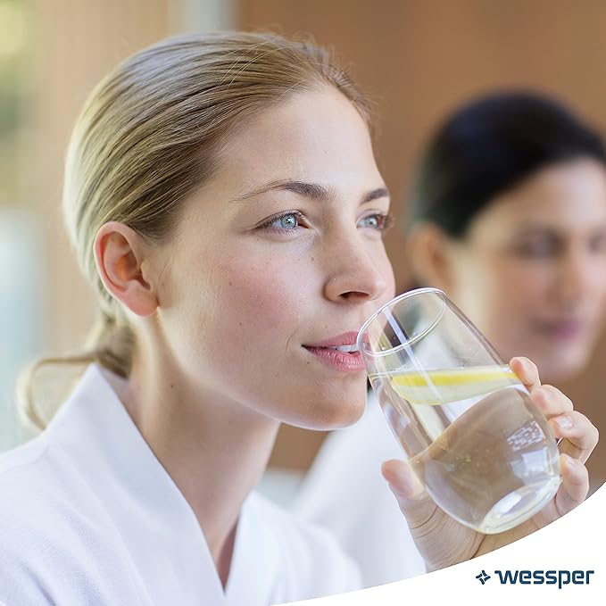 Wessper® Aqua Crystalline Fridge Freezer Water Filter Replacement for General Electric GE Smartwater: MWF GE MWF MWFA MWFAP MWFDS MWF-INT MWFP GWF GWF01 GWF06 GWFA GWFDS 53-WF-07GE WF07 101057A