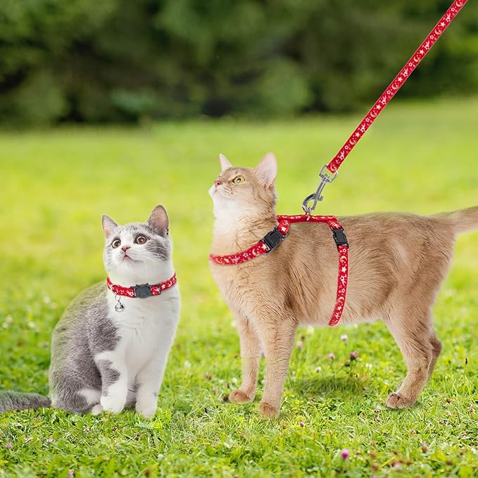 PAWCHIE Cat Harness with Leash and Collar Set - Escape Proof Adjustable H-shped Cat Harness with Star and Moon Pattern Glow in The Dark for Kitty Outdoor Walking