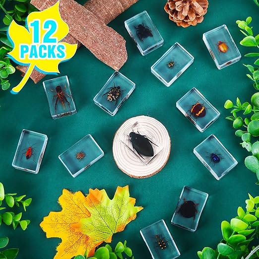 Macarrie 12 Pcs Bug Collection Kit for Kids Insect Specimens Real Specimens of Butterflies Beetles for Kids Classroom Science Education Animal Collection, Bug Preserved, Biology(Cricket)