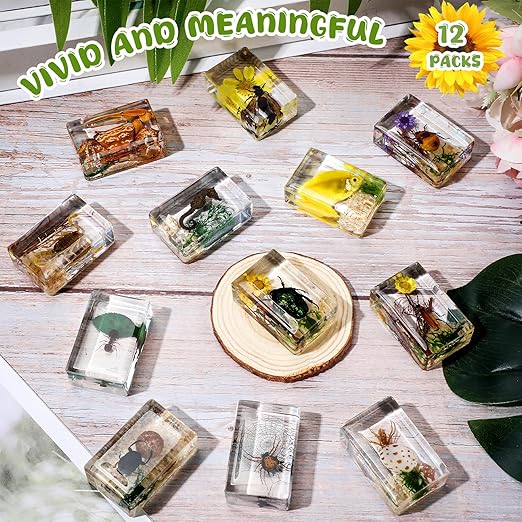 Macarrie 12 Pcs Bug Collection Kit for Kids Insect Specimens Real Specimens of Butterflies Beetles for Kids Classroom Science Education Animal Collection, Bug Preserved, Biology(Scenery)