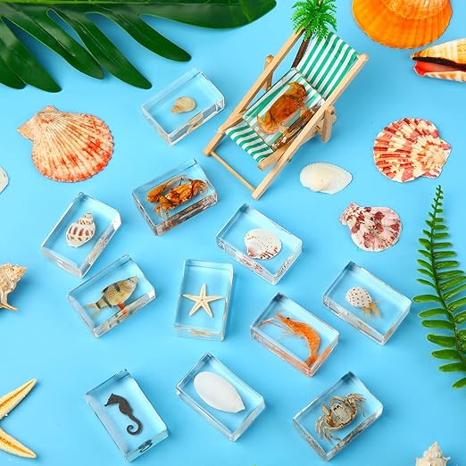 Macarrie 12 Pcs Bug Collection Kit for Kids Insect Specimens Real Specimens of Butterflies Beetles for Kids Classroom Science Education Animal Collection, Bug Preserved, Biology(Ocean Theme)