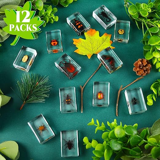 Macarrie 12 Pcs Bug Collection Kit for Kids Insect Specimens Real Specimens of Butterflies Beetles for Kids Classroom Science Education Animal Collection, Bug Preserved, Biology(Ladybug)
