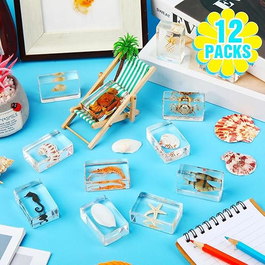 Macarrie 12 Pcs Bug Collection Kit for Kids Insect Specimens Real Specimens of Butterflies Beetles for Kids Classroom Science Education Animal Collection, Bug Preserved, Biology(Ocean Theme)