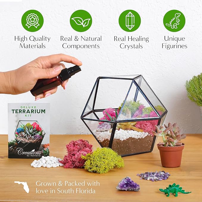 Terrarium Kit – DIY Terrarium Kit for Succulents, Cacti & Air Plants, Includes Premium Soil, Moss, Pebbles & Tools, Plant Starter Kit, Closed Terrarium Supplies, Handmade in USA