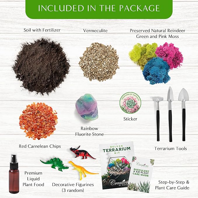Terrarium Kit – DIY Terrarium Kit for Succulents, Cacti & Air Plants, Includes Premium Soil, Moss, Pebbles & Tools, Plant Starter Kit, Closed Terrarium Supplies, Handmade in USA