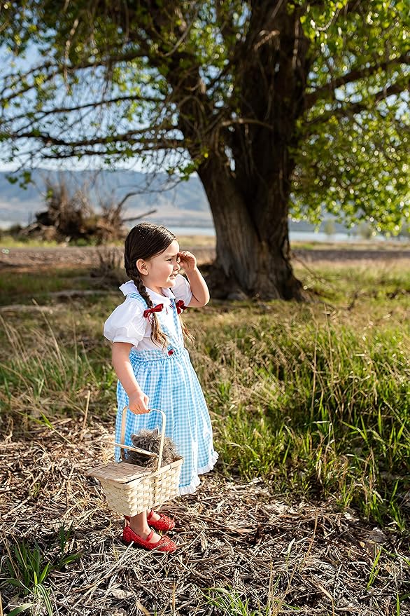 Little Adventures Kansas Girl with Bow Dress up Costume