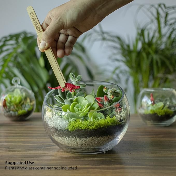 Cute Farms Terrarium Starter Kit | Moss, Vermiculite, Soil, Pebbles, Plant Food, & Finishing Tools (Large Kit + Crystals)