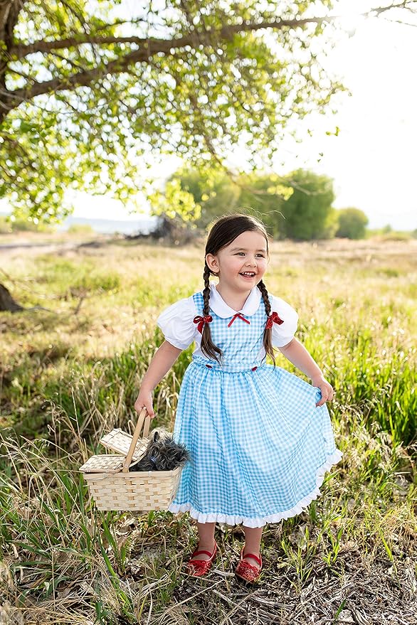 Little Adventures Kansas Girl with Bow Dress up Costume