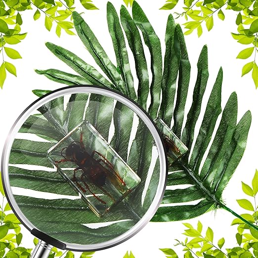 Macarrie 12 Pcs Bug Collection Kit for Kids Insect Specimens Real Specimens of Butterflies Beetles for Kids Classroom Science Education Animal Collection, Bug Preserved, Biology(Insect)